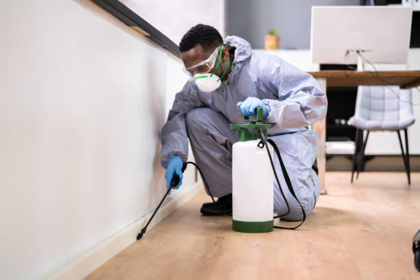 Best Residential Pest Control  in Random Lake, WI